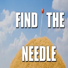 Play Find the Needle game