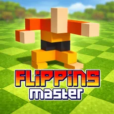 Play Flipping Master now!