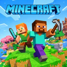 Play Minecraft game