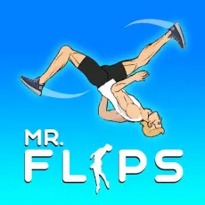Play Mr. Flip game